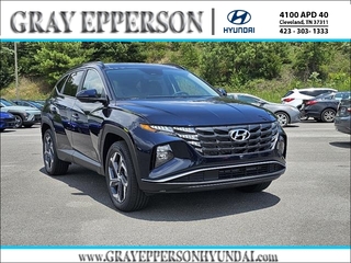 2024 Hyundai Tucson Hybrid for sale in Cleveland TN