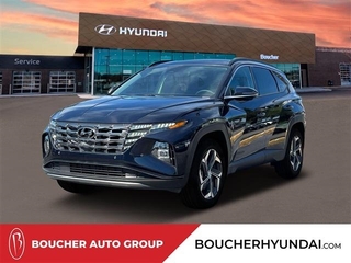 2024 Hyundai Tucson Hybrid for sale in Waukesha WI