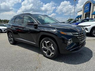 2024 Hyundai Tucson Hybrid for sale in Greenville SC