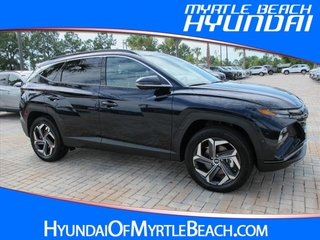 2024 Hyundai Tucson Hybrid for sale in Myrtle Beach SC