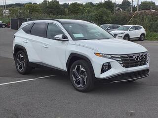 2024 Hyundai Tucson Hybrid for sale in Syracuse NY