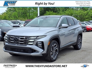 2025 Hyundai Tucson Hybrid for sale in Alexandria KY