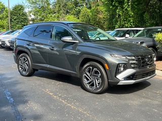 2025 Hyundai Tucson Hybrid for sale in Asheville NC