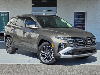 2025 Hyundai Tucson Hybrid for sale in Valdese NC