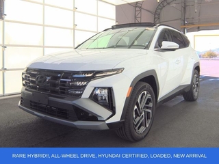 2025 Hyundai Tucson Hybrid for sale in Plano TX