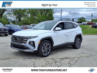 2025 Hyundai Tucson Hybrid for sale in Florence KY