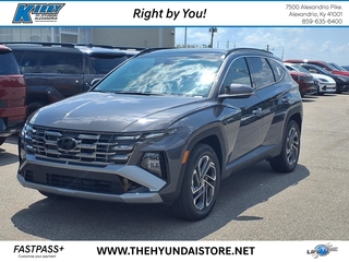 2025 Hyundai Tucson Hybrid for sale in Alexandria KY