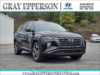 2025 Hyundai Tucson Hybrid for sale in Cleveland TN