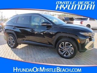 2025 Hyundai Tucson Hybrid for sale in Myrtle Beach SC