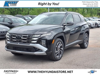 2025 Hyundai Tucson Hybrid for sale in Alexandria KY