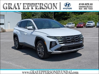 2025 Hyundai Tucson Hybrid for sale in Cleveland TN