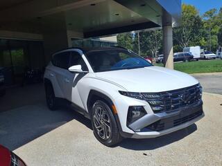 2025 Hyundai Tucson Hybrid for sale in Hampton VA