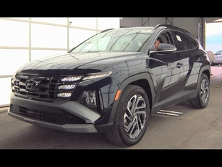 2025 Hyundai Tucson Hybrid for sale in Plano TX