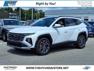 2025 Hyundai Tucson Hybrid for sale in Alexandria KY