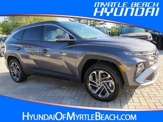 2025 Hyundai Tucson Hybrid for sale in Myrtle Beach SC