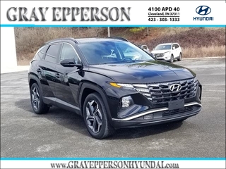 2022 Hyundai Tucson Hybrid for sale in Cleveland TN