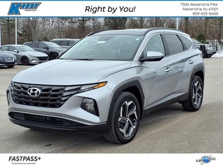 2022 Hyundai Tucson Hybrid for sale in Alexandria KY