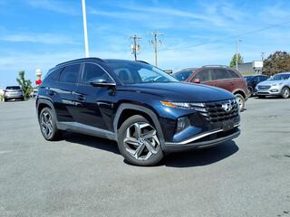 2023 Hyundai Tucson Hybrid for sale in Burlington NC