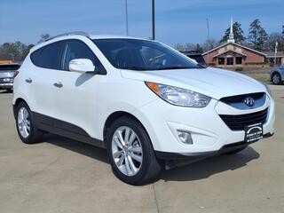2010 Hyundai Tucson for sale in Boerne TX