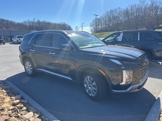 2024 Hyundai Palisade for sale in Chattanooga TN