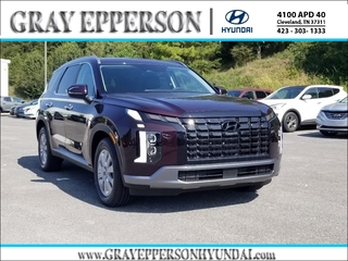 2025 Hyundai Palisade for sale in Cleveland TN