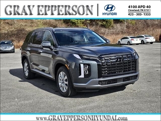 2025 Hyundai Palisade for sale in Cleveland TN