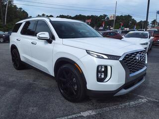 2020 Hyundai Palisade for sale in Havelock NC