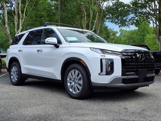 2025 Hyundai Palisade for sale in Hampton VA