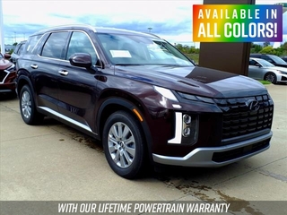 2025 Hyundai Palisade for sale in Triadelphia WV