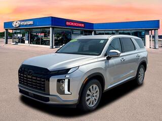 2025 Hyundai Palisade for sale in Janesville WI
