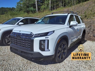 2024 Hyundai Palisade for sale in Mount Hope WV