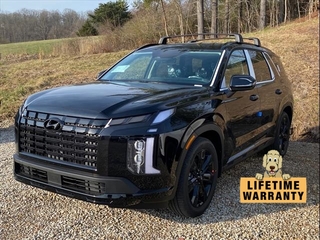 2024 Hyundai Palisade for sale in Mount Hope WV