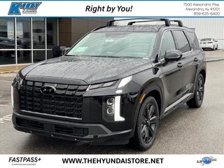 2025 Hyundai Palisade for sale in Alexandria KY