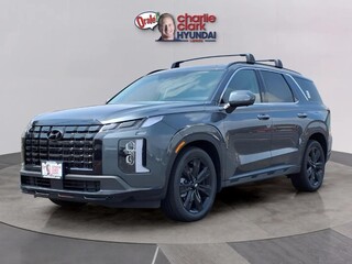 2025 Hyundai Palisade for sale in Fort Mill SC