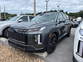 2025 Hyundai Palisade for sale in Johnson City TN
