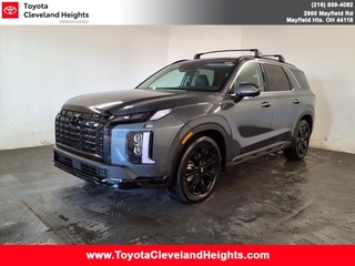 2025 Hyundai Palisade for sale in Cleveland Heights OH