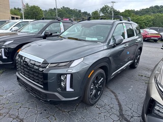 2025 Hyundai Palisade for sale in Johnson City TN