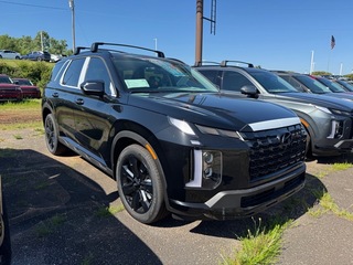 2025 Hyundai Palisade for sale in South Hill VA