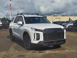 2025 Hyundai Palisade for sale in Stow OH