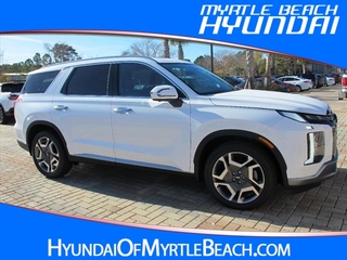 2025 Hyundai Palisade for sale in Myrtle Beach SC