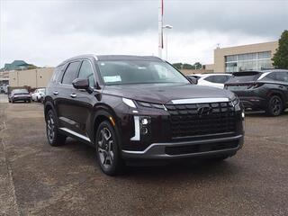 2025 Hyundai Palisade for sale in Stow OH