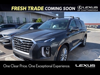2020 Hyundai Palisade for sale in Chattanooga TN