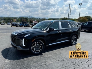 2025 Hyundai Palisade for sale in Johnson City TN