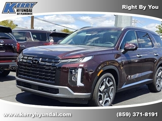 2024 Hyundai Palisade for sale in Florence KY