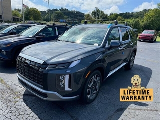 2024 Hyundai Palisade for sale in Johnson City TN