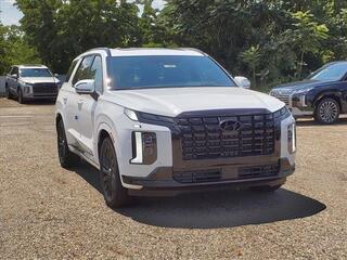 2024 Hyundai Palisade for sale in Stow OH