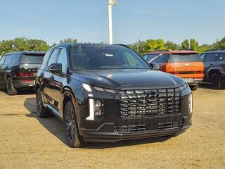 2025 Hyundai Palisade for sale in Stow OH