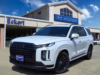 2025 Hyundai Palisade for sale in Denton TX
