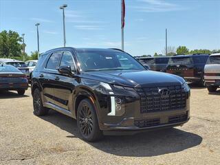 2024 Hyundai Palisade for sale in Stow OH