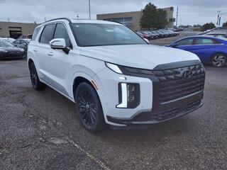 2025 Hyundai Palisade for sale in Stow OH